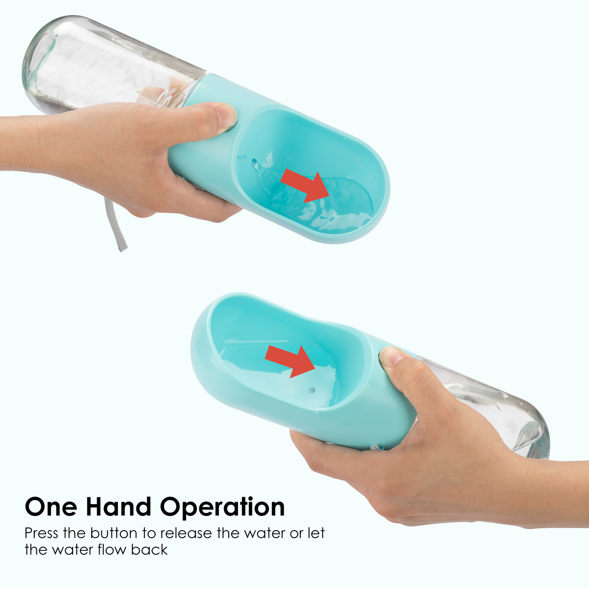 Pet bottle with bowl