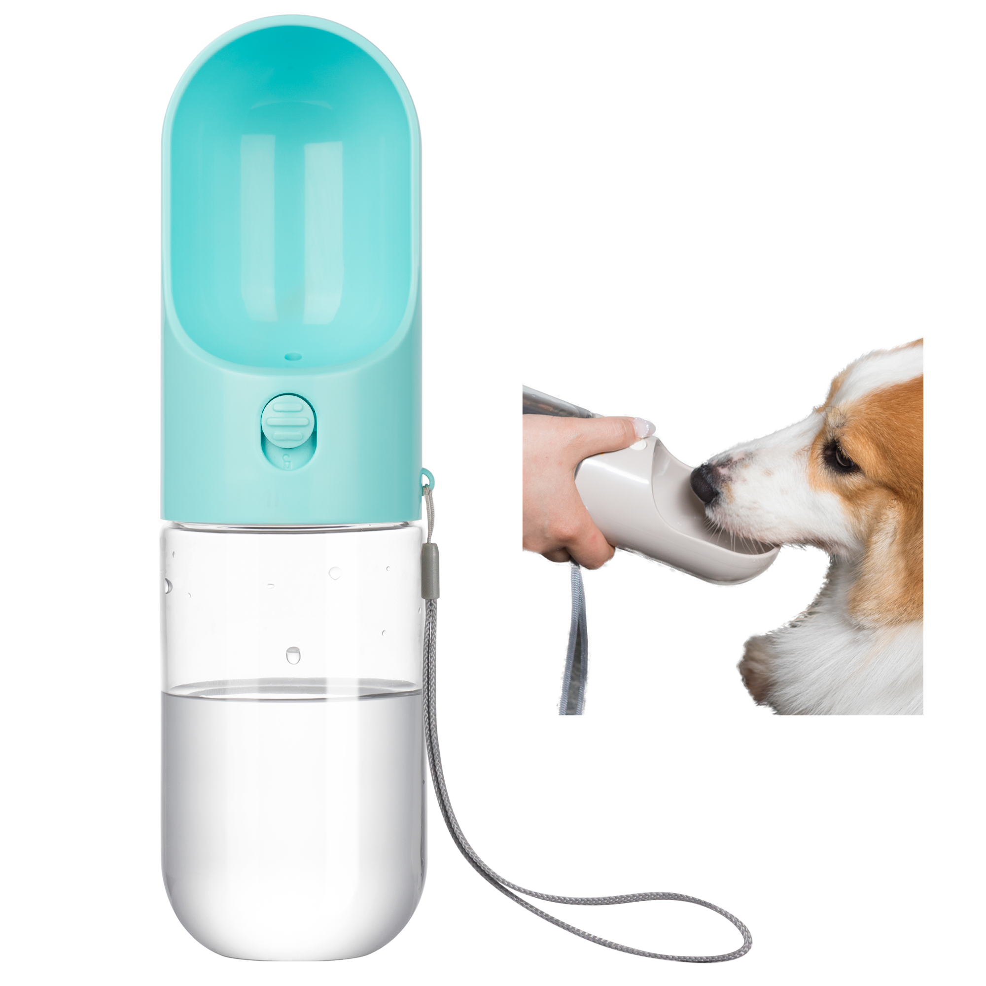 Pet bottle with bowl